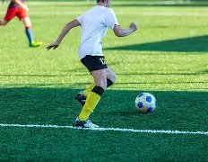 广东队逆袭,加强,布朗洛夫顿,大发彩票,大发彩票官网,大发彩票dafa官网