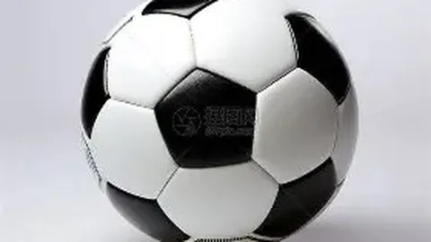 记者因曝光张柏芝三胎出生证明被罚10万，4人涉案